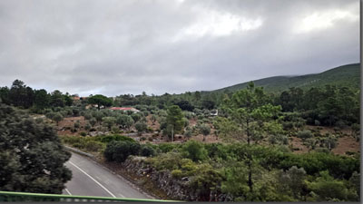 A road with trees and mountains in the background